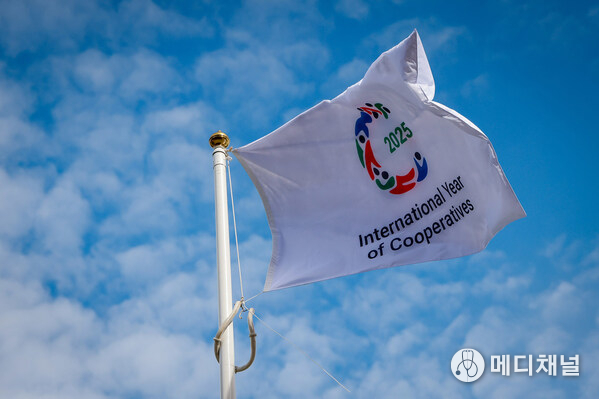 The UN 2025 International Year of Cooperatives (IYC) flag flying against a blue sky. The closing event of the IYC will take place during the second World Summit for Social Development in Doha, Qatar (4-6 November) (Photo: Co-operatives UK / Chris Foster Photography)