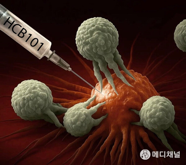 HCB101, a Next-Generation Fc-Engineered SIRPα-CD47 Fusion Protein, Demonstrates Favorable Safety and Early Antitumor Activity in Advanced Cancers