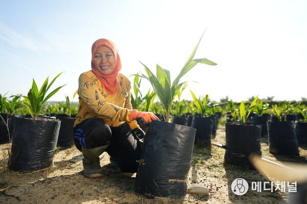 Dami Mas DxP MTK seeds aim to support climate resilient yields for palm oil farmers