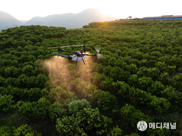 XAG P150 Max agricultural drone delivers precision spraying with high efficiency
