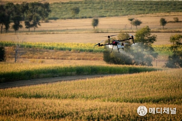 XAG P150 Max Agricultural Drone delivers precision spraying across cornfields.